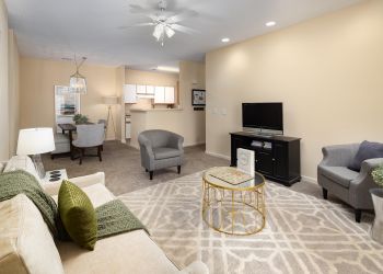 Cedar Grove apartment homes with Modern living room with beige walls, cozy seating, a TV, and a view of the dining area and kitchen in back.