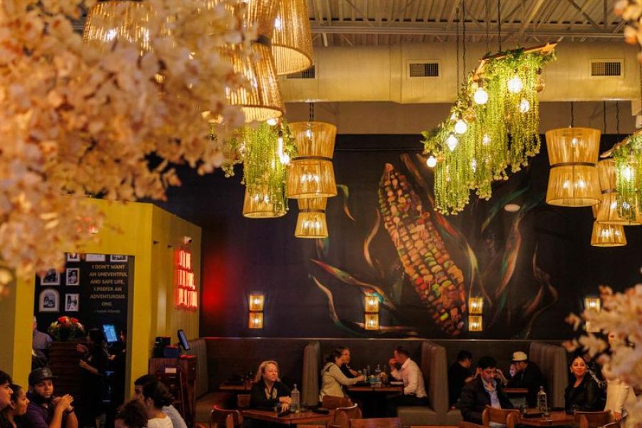 Cedar Grove La Minerva cozy restaurant with hanging lights, mural of corn on the wall, and people dining at wooden tables.